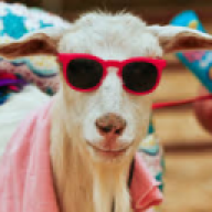 Goatsnatcher
