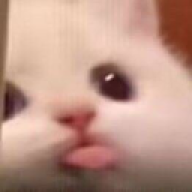 thegrt