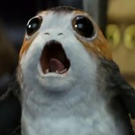 BigBrownHav