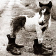 boots