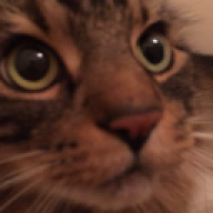 Faide