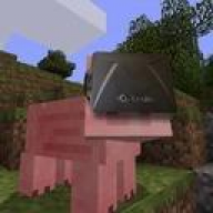 Bacon