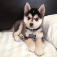 perx