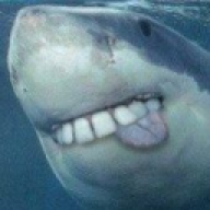 pieshark