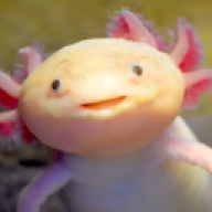 chengster