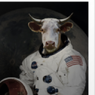 moomoobink