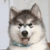 Chillbilly