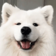chenyn66