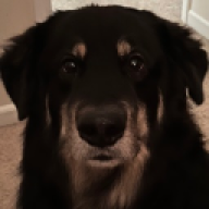 Zax